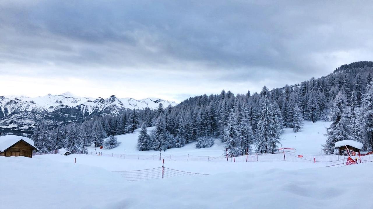 Les Chalets Du Parc Aux Etoiles - Cimes Et Neige Apartment Puy-Saint-Vincent Ngoại thất bức ảnh